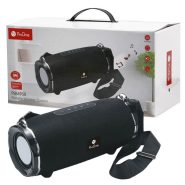 اسپیکر پرتابل PROONE PSB4950 مشکی